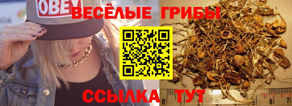 Мефедрон   Берёзовский  Вход с VPN  ГАШИШ  Канабис  КОКАИН  Альфа ПВП СК  