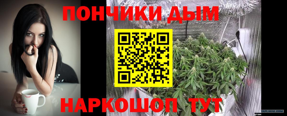Канабис конопля  Конопля гибрид  Вход с VPN  Берёзовский  Каннабис AK-47 